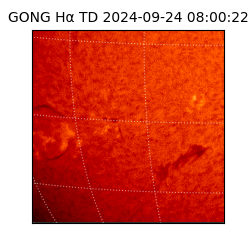 gong - 2024-09-24T08:00:22