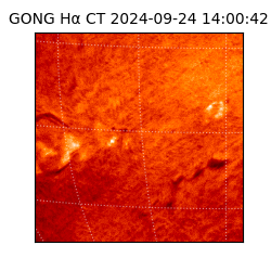 gong - 2024-09-24T14:00:42