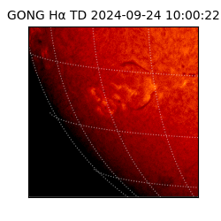 gong - 2024-09-24T10:00:22