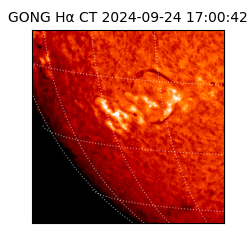 gong - 2024-09-24T17:00:42
