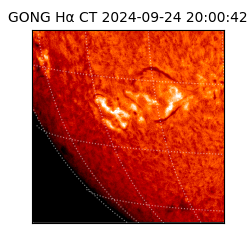 gong - 2024-09-24T20:00:42
