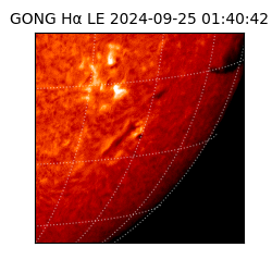 gong - 2024-09-25T01:40:42