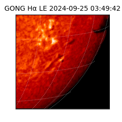 gong - 2024-09-25T03:49:42
