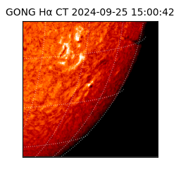 gong - 2024-09-25T15:00:42