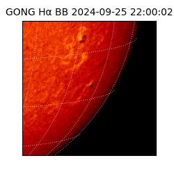 gong - 2024-09-25T22:00:02