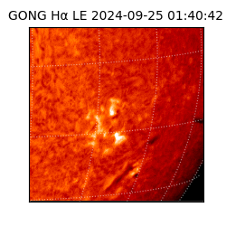 gong - 2024-09-25T01:40:42