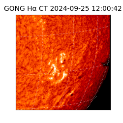 gong - 2024-09-25T12:00:42