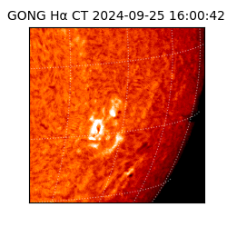 gong - 2024-09-25T16:00:42