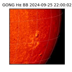 gong - 2024-09-25T22:00:02