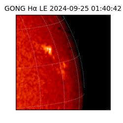 gong - 2024-09-25T01:40:42