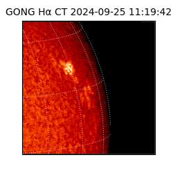 gong - 2024-09-25T11:19:42