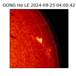 gong - 2024-09-25T04:00:42