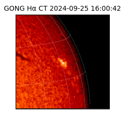 gong - 2024-09-25T16:00:42