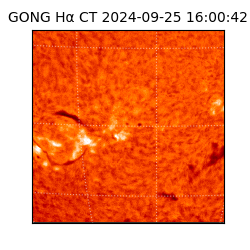 gong - 2024-09-25T16:00:42