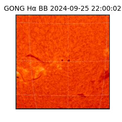 gong - 2024-09-25T22:00:02