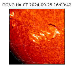 gong - 2024-09-25T16:00:42