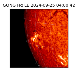 gong - 2024-09-25T04:00:42