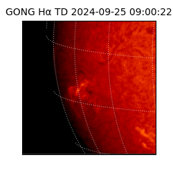 gong - 2024-09-25T09:00:22