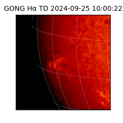 gong - 2024-09-25T10:00:22