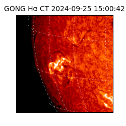 gong - 2024-09-25T15:00:42