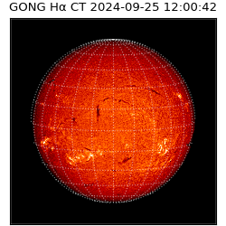 gong - 2024-09-25T12:00:42