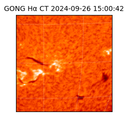 gong - 2024-09-26T15:00:42