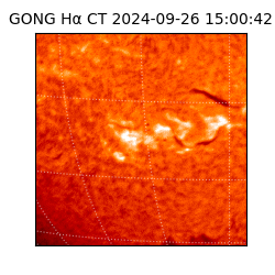 gong - 2024-09-26T15:00:42