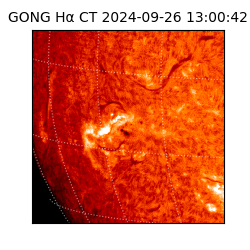 gong - 2024-09-26T13:00:42