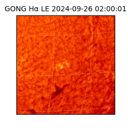 gong - 2024-09-26T02:00:01