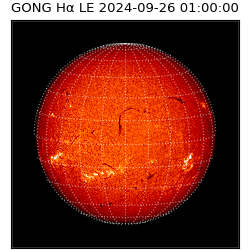 gong - 2024-09-26T01:00:00