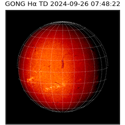 gong - 2024-09-26T07:48:22