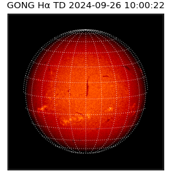 gong - 2024-09-26T10:00:22