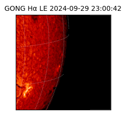 gong - 2024-09-29T23:00:42