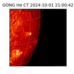 gong - 2024-10-01T21:00:42