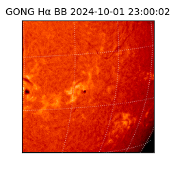 gong - 2024-10-01T23:00:02