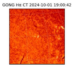 gong - 2024-10-01T19:00:42