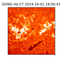 gong - 2024-10-01T18:00:42
