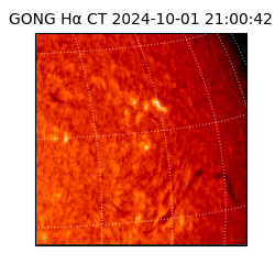 gong - 2024-10-01T21:00:42