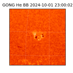 gong - 2024-10-01T23:00:02