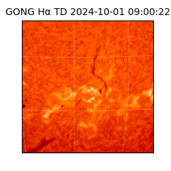 gong - 2024-10-01T09:00:22