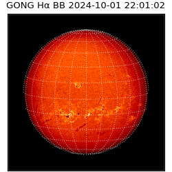 gong - 2024-10-01T22:01:02