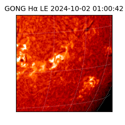 gong - 2024-10-02T01:00:42