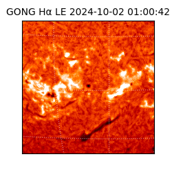 gong - 2024-10-02T01:00:42