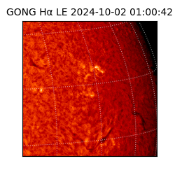 gong - 2024-10-02T01:00:42