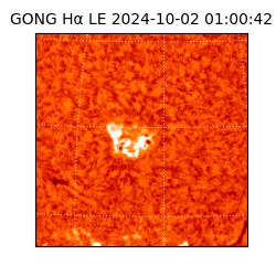 gong - 2024-10-02T01:00:42