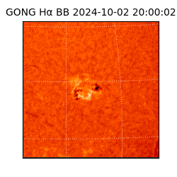 gong - 2024-10-02T20:00:02