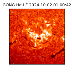 gong - 2024-10-02T01:00:42