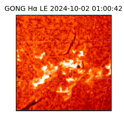 gong - 2024-10-02T01:00:42