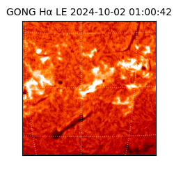 gong - 2024-10-02T01:00:42