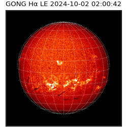 gong - 2024-10-02T02:00:42